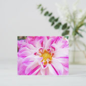 Cartes postales rose blanc Dahlia Fleur Jardin Flo (Debout devant)