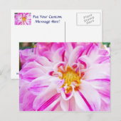 Cartes postales rose blanc Dahlia Fleur Jardin Flo (Devant / Derrière)