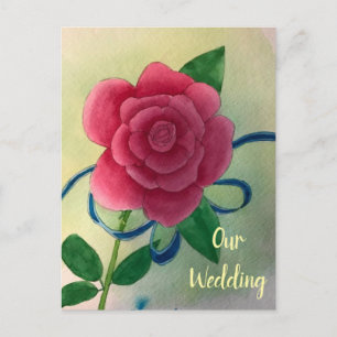 Cartes postales Rose Rose Blue Ribbon