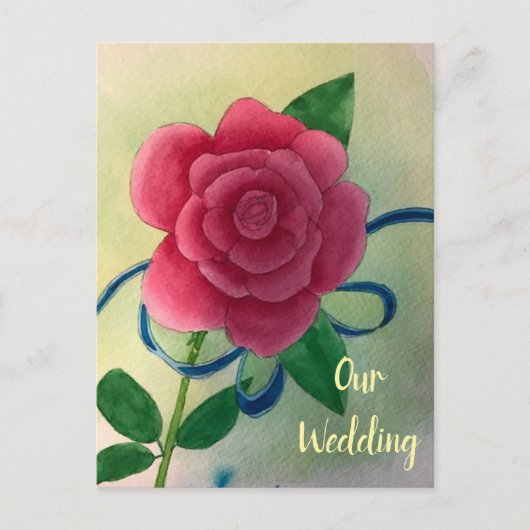 Cartes postales Rose Rose Blue Ribbon (Devant)
