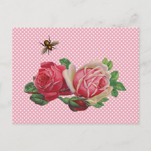 Cartes postales Roses de Shabby (Devant)