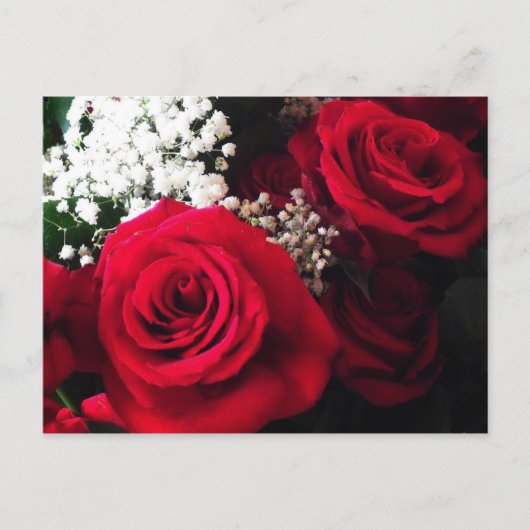 Cartes postales Roses rouges Bouquet de respiratio (Devant)