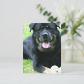 Cartes postales rotatives (Debout devant)