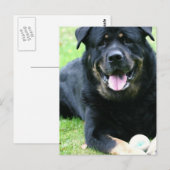 Cartes postales rotatives (Devant / Derrière)