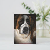 Cartes postales Saint Bernard 2 (Debout devant)
