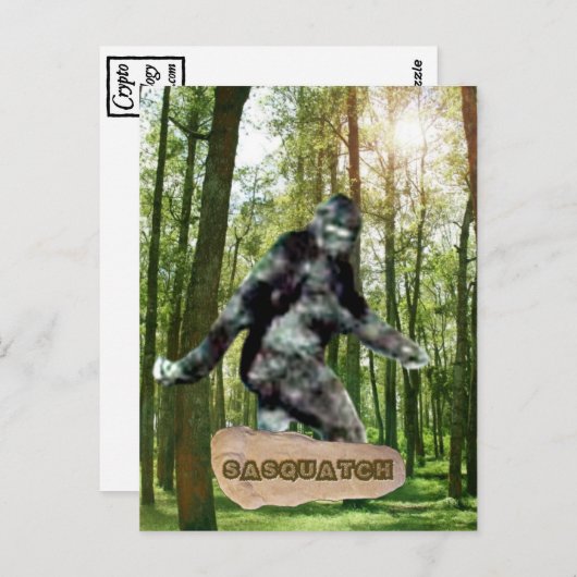 Cartes postales Sasquatch (Devant / Derrière)