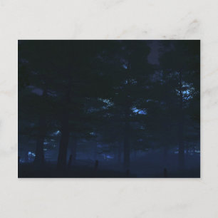 Cartes postales secrètes de la nature