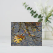 Cartes postales Sequoia (Debout devant)