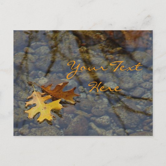 Cartes postales Sequoia (Devant)