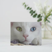 Cartes postales serenity close-up (Debout devant)