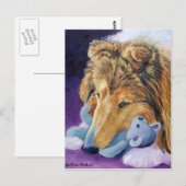 Cartes postales Shetland Sheepdog (Devant / Derrière)