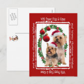 Cartes postales Silky Terrier pour Noël (Devant / Derrière)
