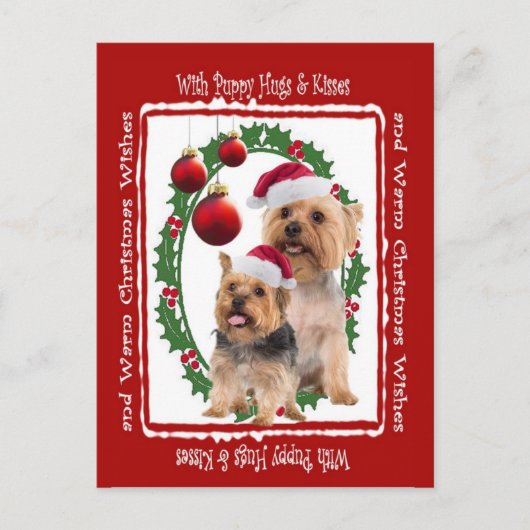 Cartes postales Silky Terrier pour Noël (Devant)
