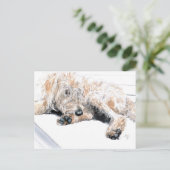 Cartes postales Sleepy Labradoodé (Debout devant)
