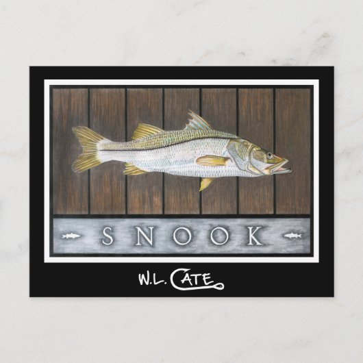 Cartes postales Snook (Devant)