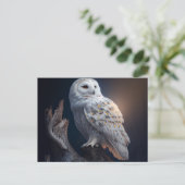 Cartes Postales snowy owl (Debout devant)