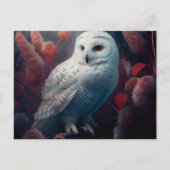 Cartes Postales snowy owl (Devant)