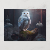 Cartes Postales snowy owl (Devant)