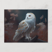 Cartes Postales snowy owl (Devant)