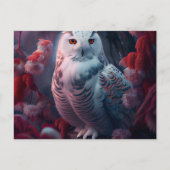 Cartes Postales snowy owl (Devant)