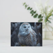 Cartes Postales snowy owl (Debout devant)