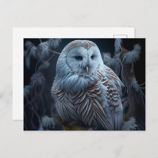 Cartes Postales snowy owl (Devant / Derrière)