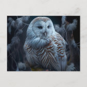 Cartes Postales snowy owl (Devant)