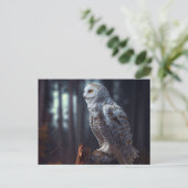 Cartes Postales snowy owl (Debout devant)