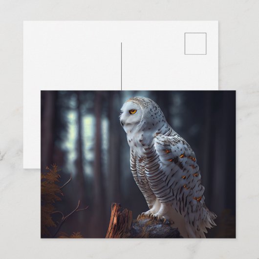 Cartes Postales snowy owl (Devant / Derrière)