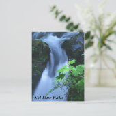 Cartes postales : Sol Duc Falls (Debout devant)