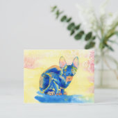 Cartes postales Sphynx Cat (Debout devant)