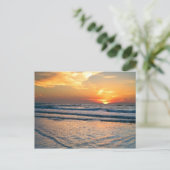 Cartes postales St Pete Beach Florida (Debout devant)