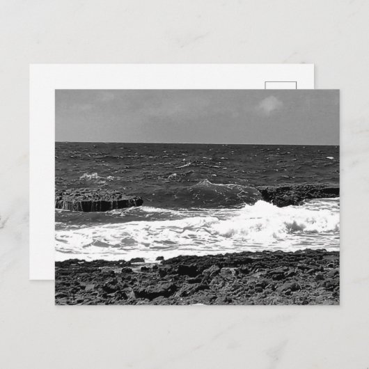 Cartes postales standard noir et blanc pour l'expé (Devant / Derrière)