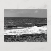 Cartes postales standard noir et blanc pour l'expé (Devant)