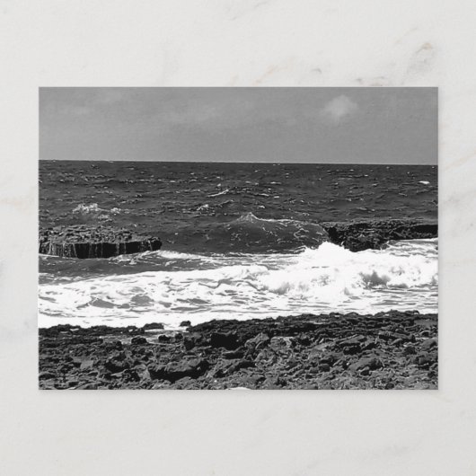 Cartes postales standard noir et blanc pour l'expé (Devant)