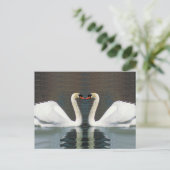 Cartes postales Swan Heart (Debout devant)