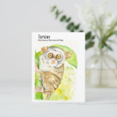Cartes postales Tarsier-DNM (Debout devant)