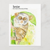Cartes postales Tarsier-DNM (Devant)