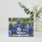 Cartes postales texanes ! (Debout devant)