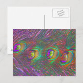 Cartes postales Tinsel Peacock (Devant / Derrière)