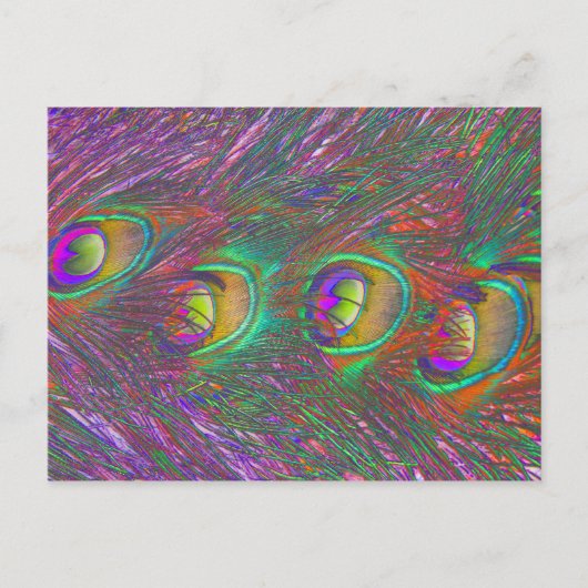 Cartes postales Tinsel Peacock (Devant)