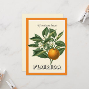 Cartes postales vintage de Floride avec des orange