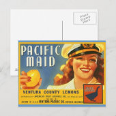 Cartes postales vintage Pacific Maid Lemons Sailor (Devant / Derrière)
