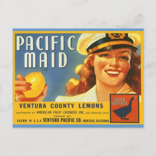 Cartes postales vintage Pacific Maid Lemons Sailor