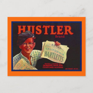 Cartes postales vintage Paperboy Hustler CA Fruit 