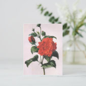 Cartes postales vintage Red Rose (Debout devant)