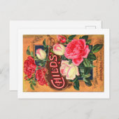 Cartes postales vintage Seed Packet (Devant / Derrière)