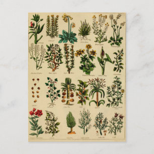 Cartes postales vintages - 5