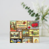 Cartes postales Vintages Étiquette de fruits (Debout devant)