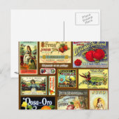 Cartes postales Vintages Étiquette de fruits (Devant / Derrière)